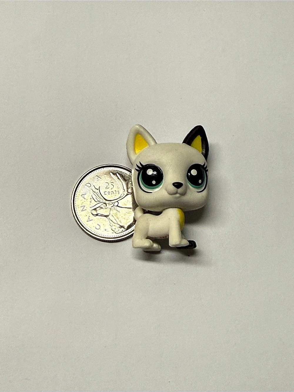 Littlest Pet Shop LPS Special Collections Tube 3 Series 1 Donner Frenchly # 1-17